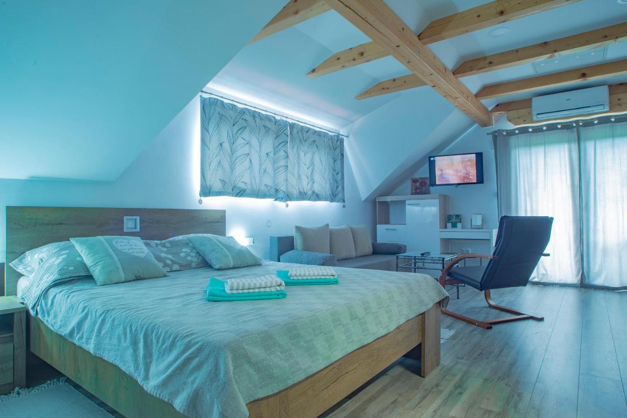 Studio Apartment Karlo Drežnik Grad Exteriör bild