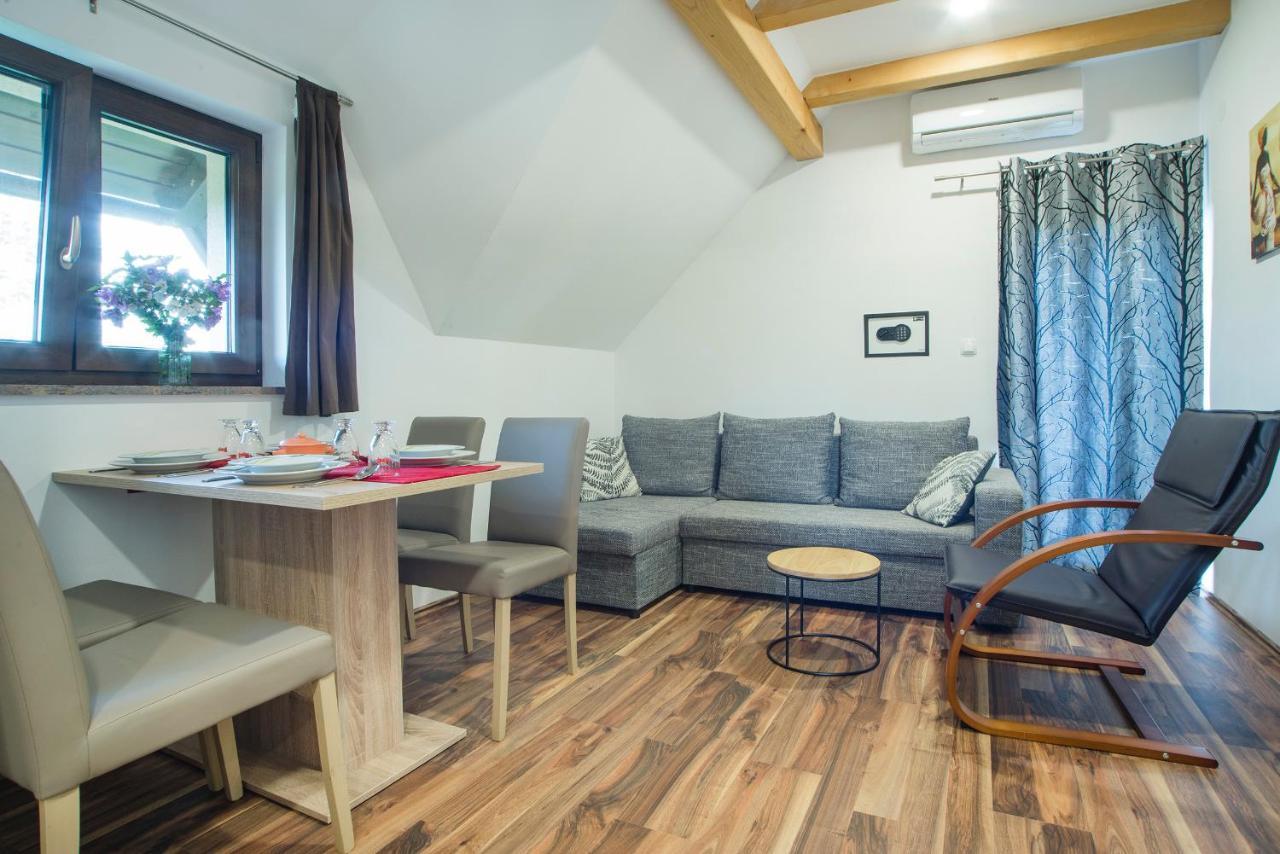 Studio Apartment Karlo Drežnik Grad Exteriör bild