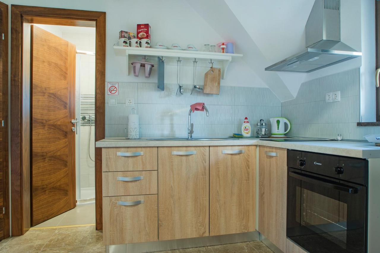 Studio Apartment Karlo Drežnik Grad Exteriör bild