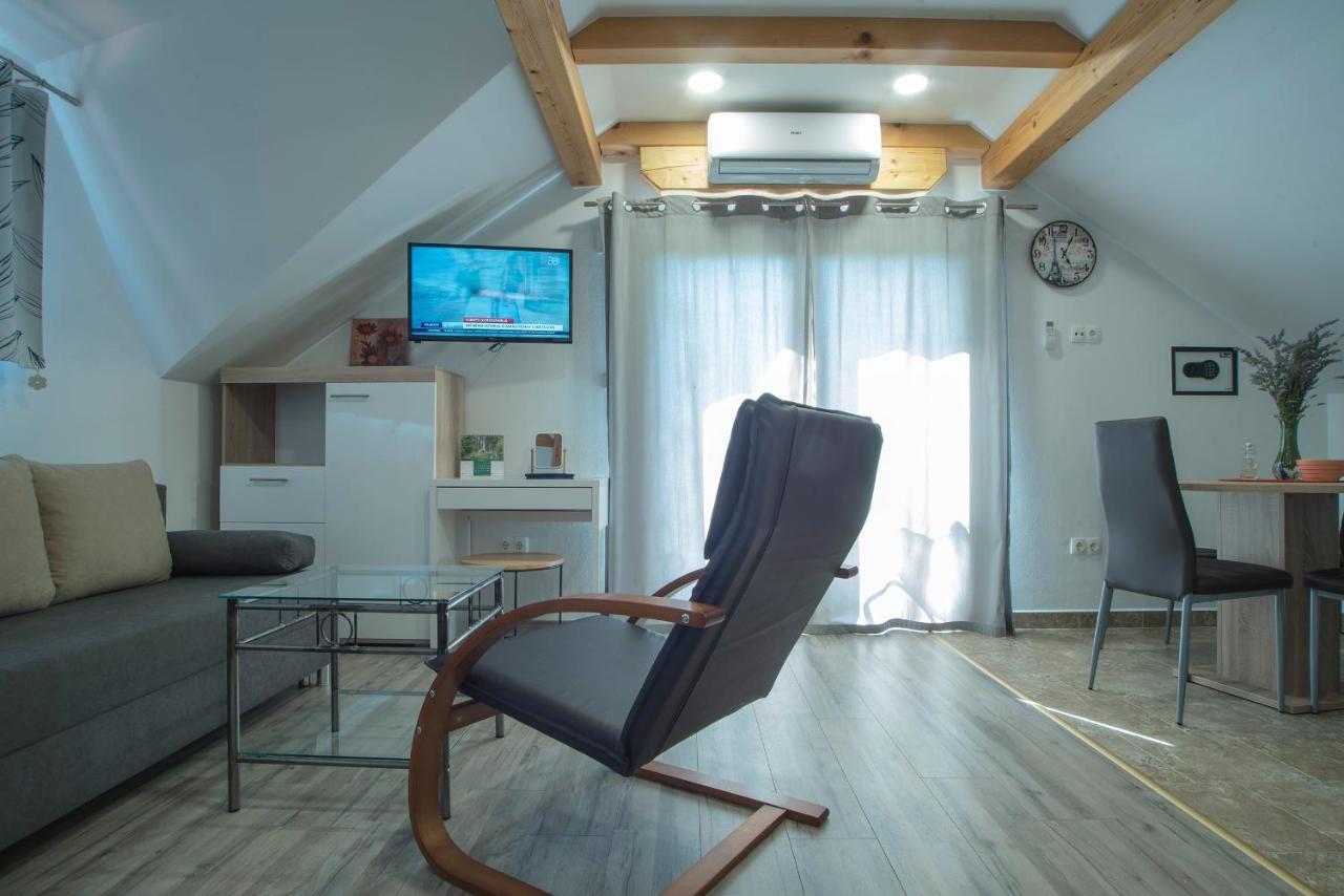 Studio Apartment Karlo Drežnik Grad Exteriör bild