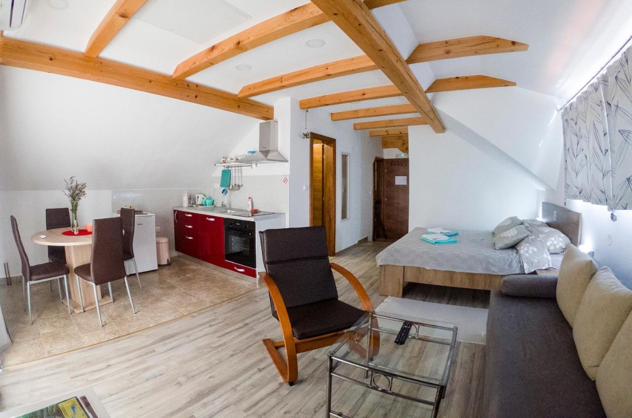 Studio Apartment Karlo Drežnik Grad Exteriör bild