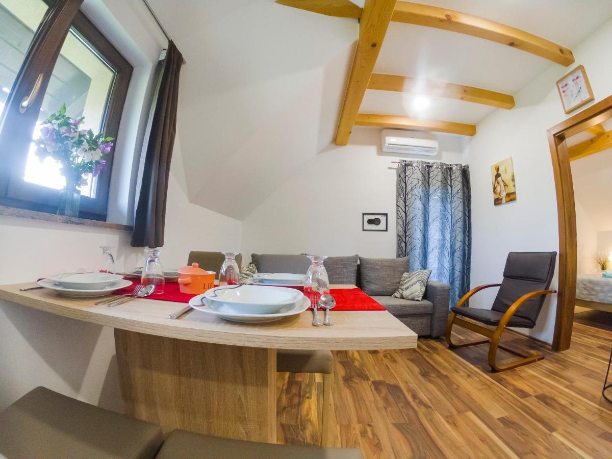 Studio Apartment Karlo Drežnik Grad Exteriör bild